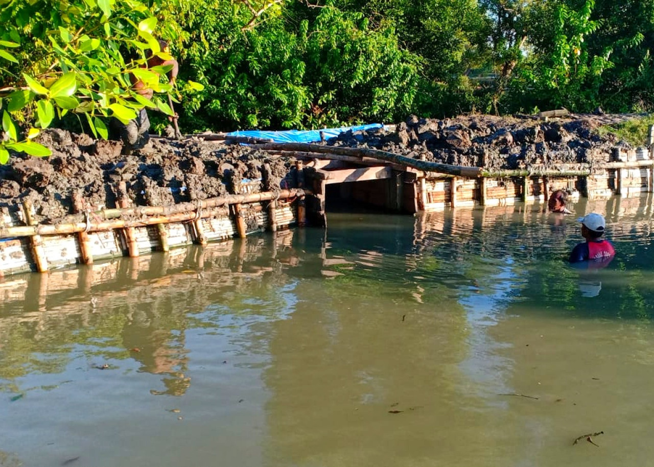 Petani tambak Kalanganyar Sidoarjo saat meninggikan tanggul. (Foto: Ahaddiini HM/jatimnow.com).