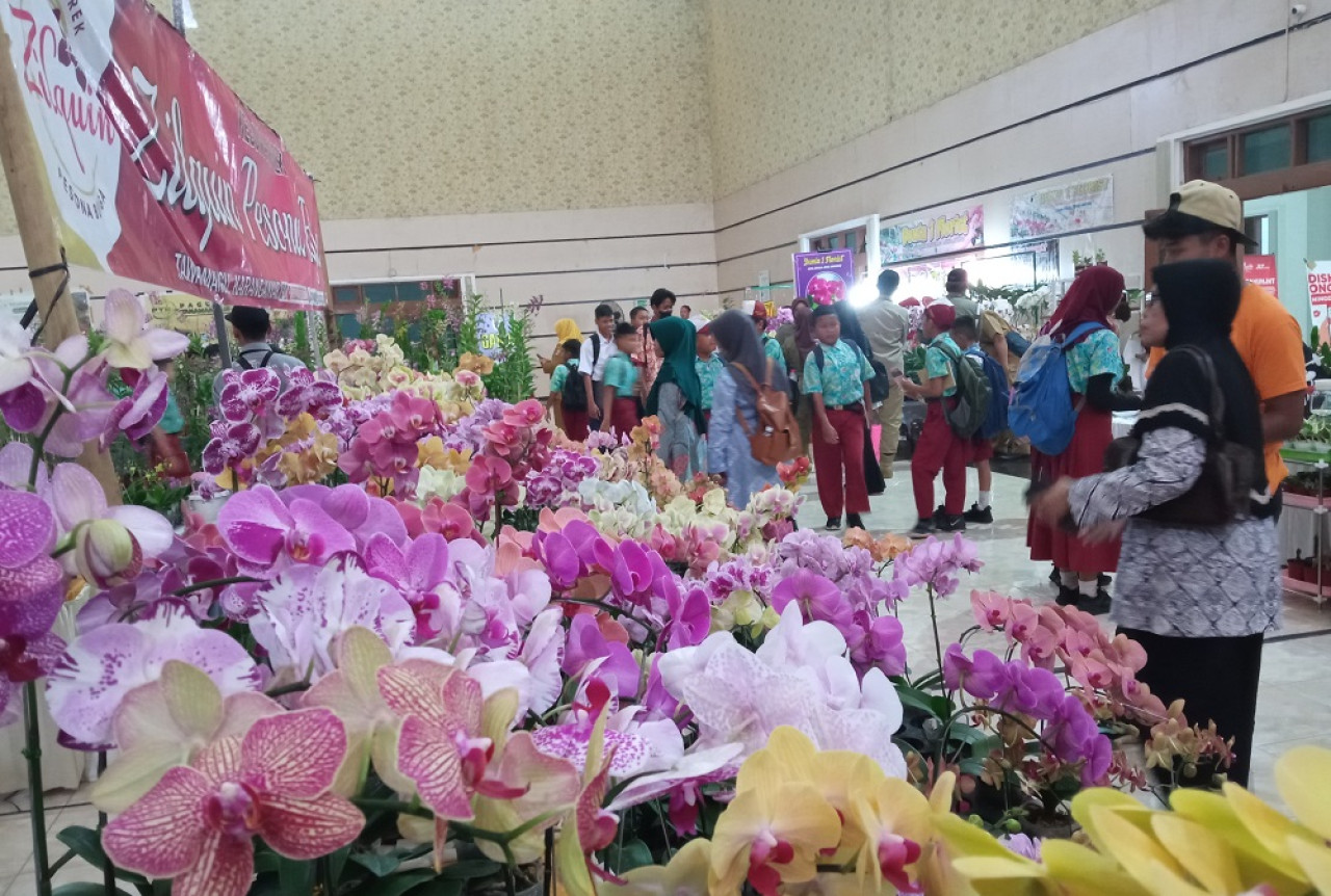 Festival anggrek di Gedung Balai Serbaguna Jember. (Foto: Sugianto/jatimnow.com)