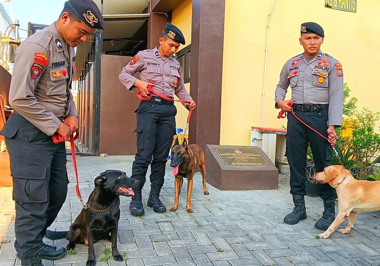 Satwa Unit K9 Polresta Sidoarjo. (Foto: Ahaddiini HM/jatomnow.com)