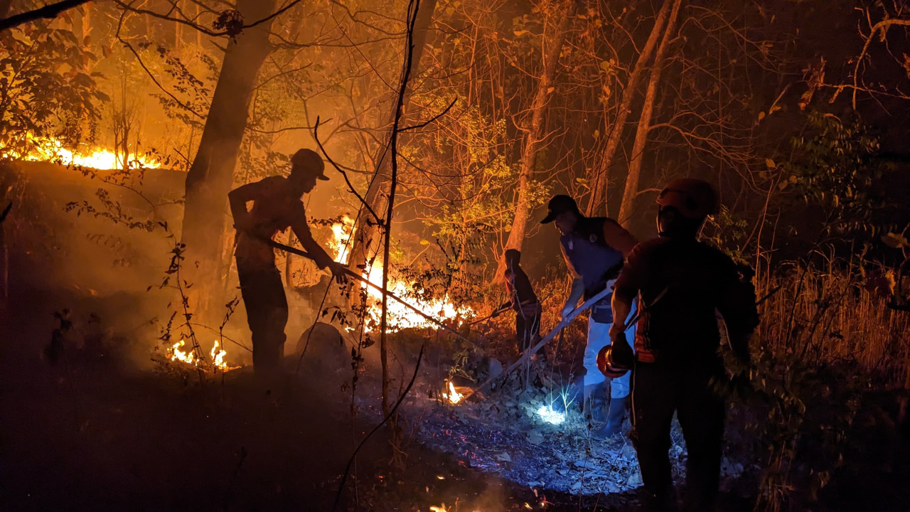 Hutan terbakar di Ponorogo. (Foto: Ahmad fauzani/jatimnow.com)