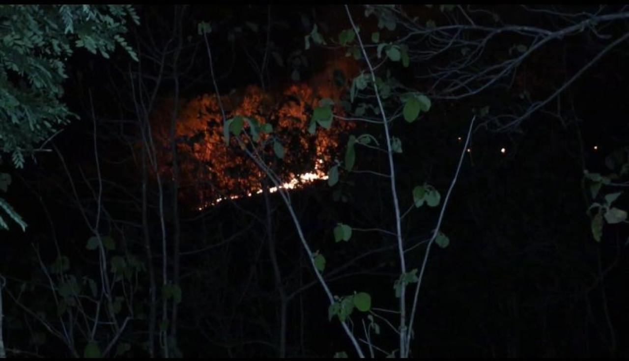 Kebakaran melanda hutan Gunung Gombak Ponorogo. (Foto: Ahmad Fauzani/jatimnow.com)