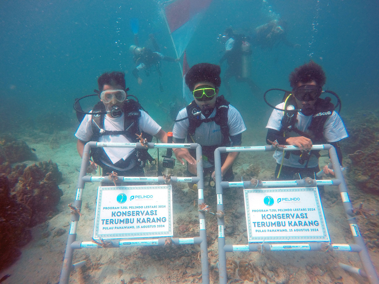 Konservasi Lingkungan, Pelindo Terminal Petikemas Tanam 632 Bibit Terumbu Karang