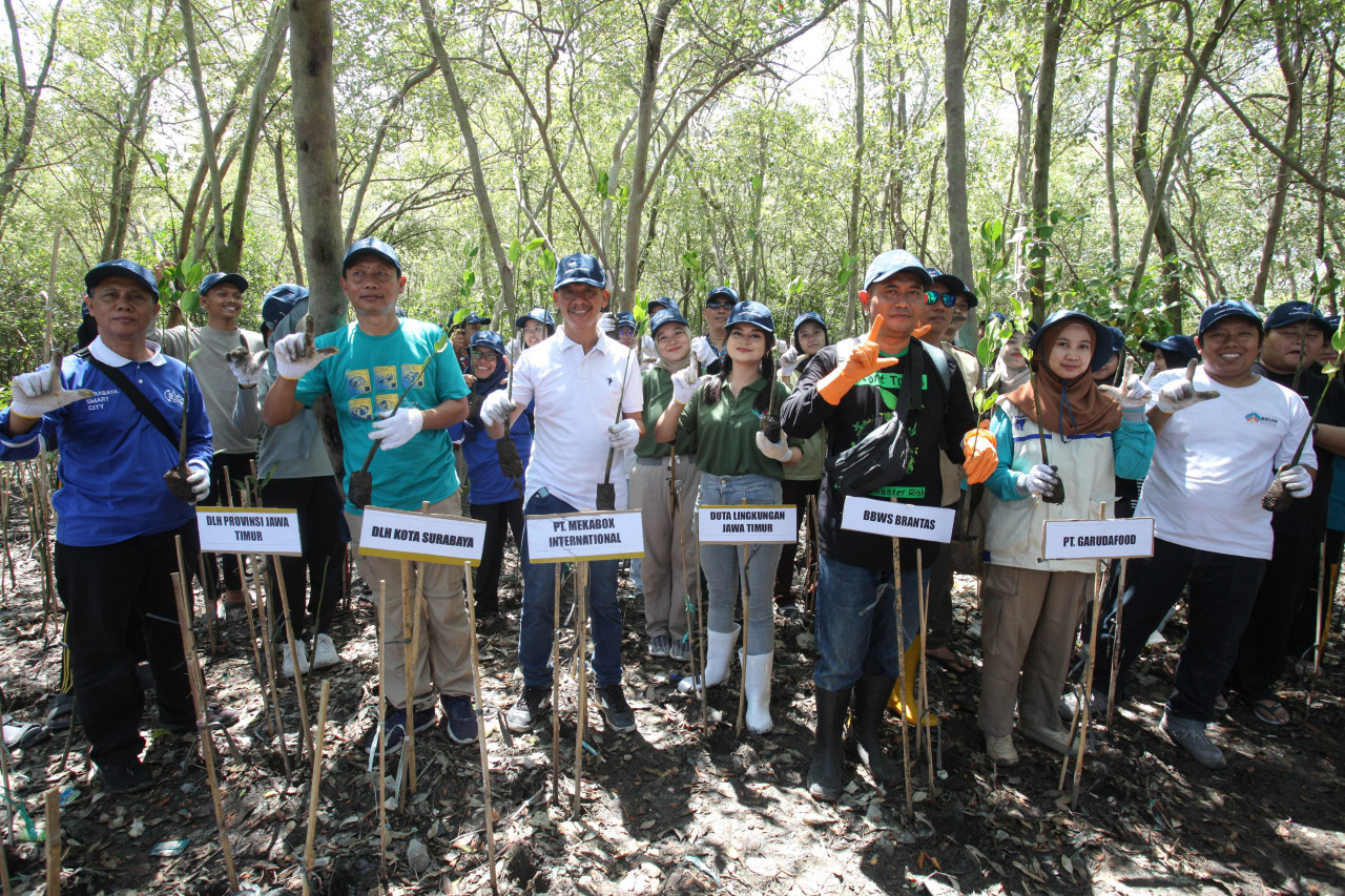 Kegiatan bersih-bersih dan penanaman Mangrove di Kawasan Hutan Mangrove Wonorejo (dok Humas Mekabox Internasional for jatimnow.com)