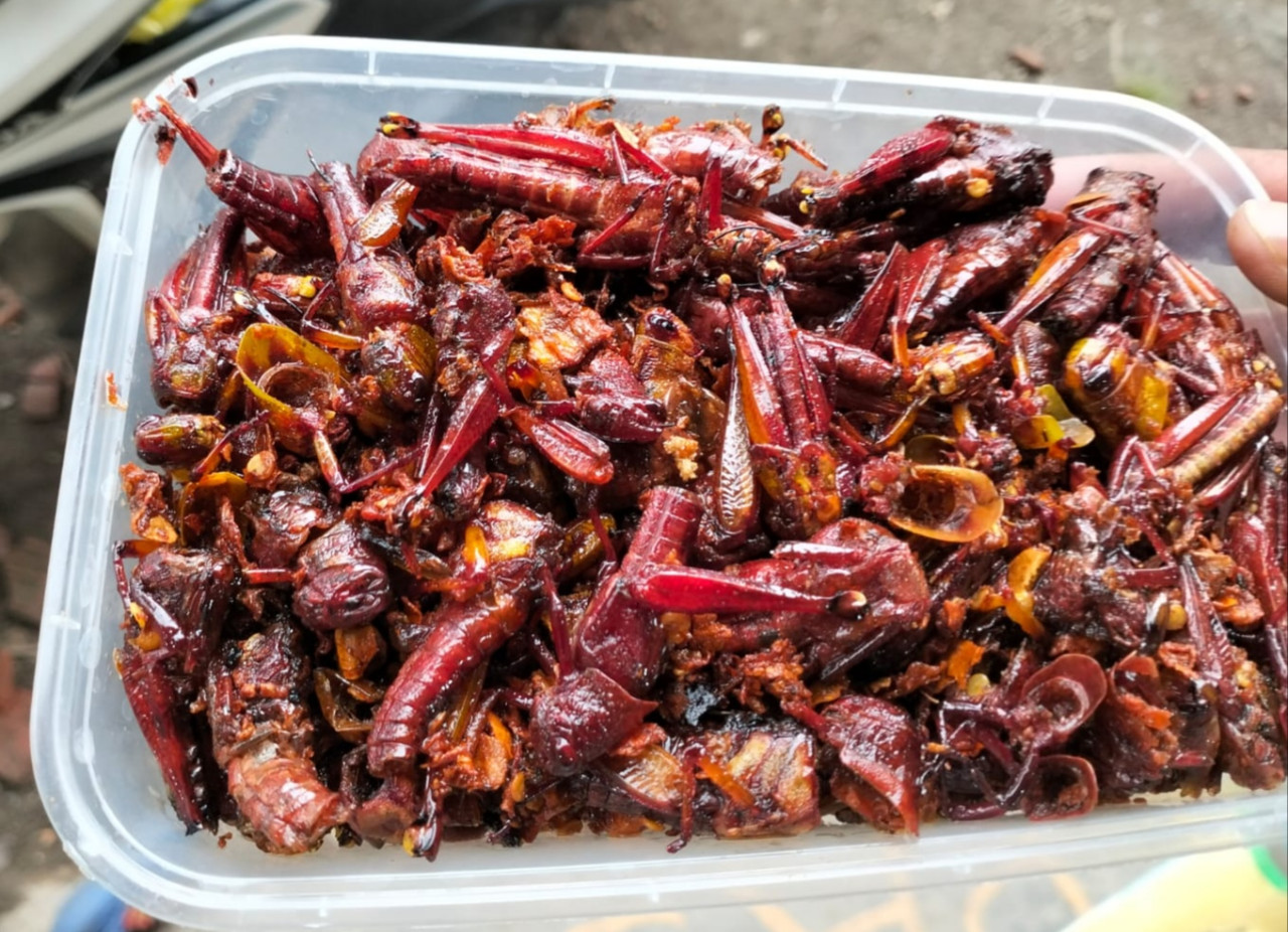 Kuliner belalang goreng milik warga Ambulu Jember. (Foto: Ari for jatimnow.com)