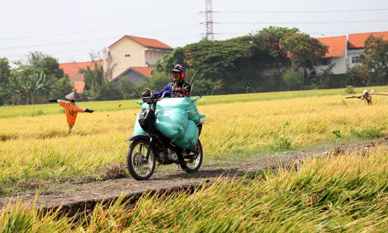 Desa Mandiri di Jatim Tumbuh 4.019 Tahun Ini, Tertinggi Nasional