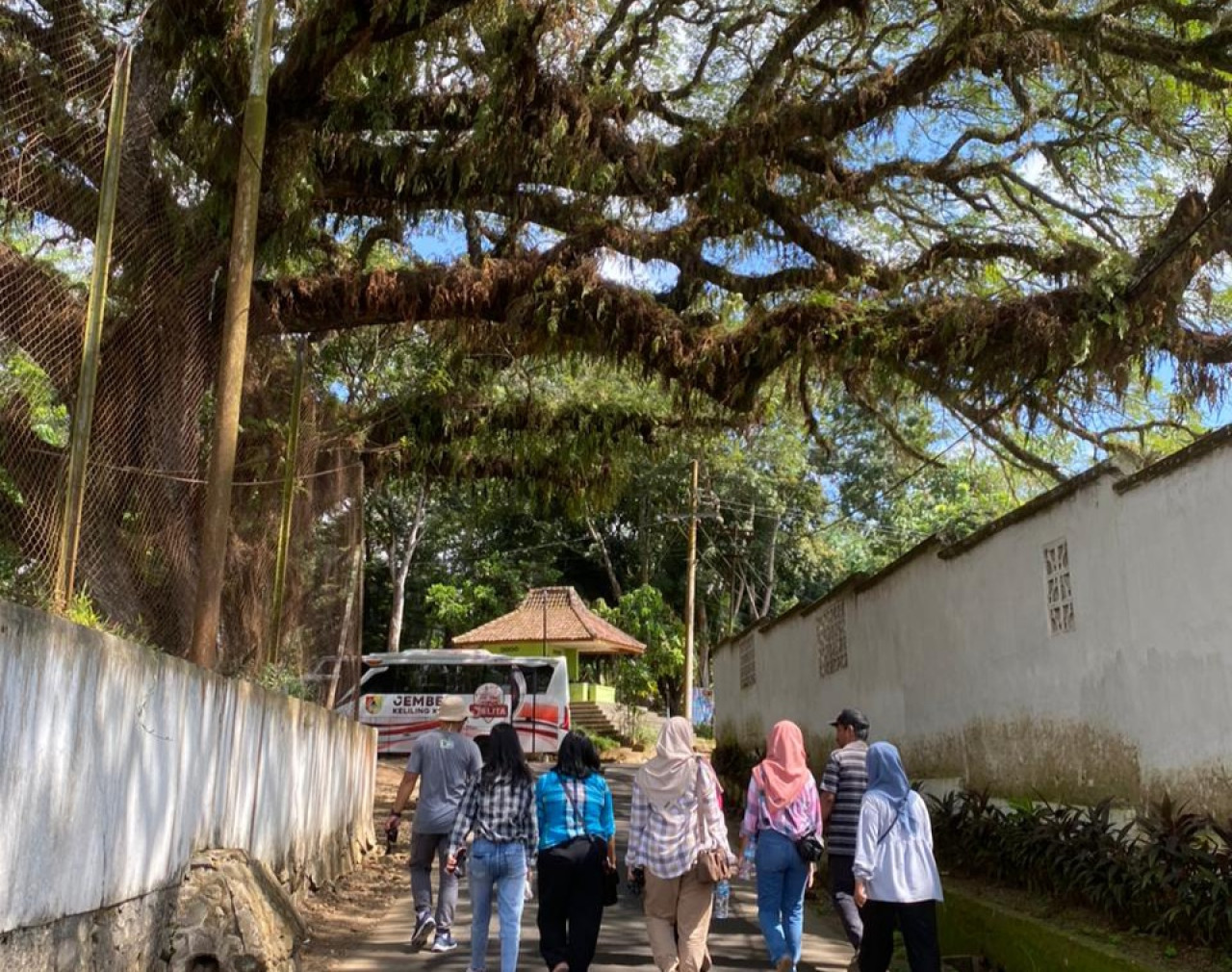 Jember akan Miliki Kampung Belgia, Bangunannya Berusia 1 Abad