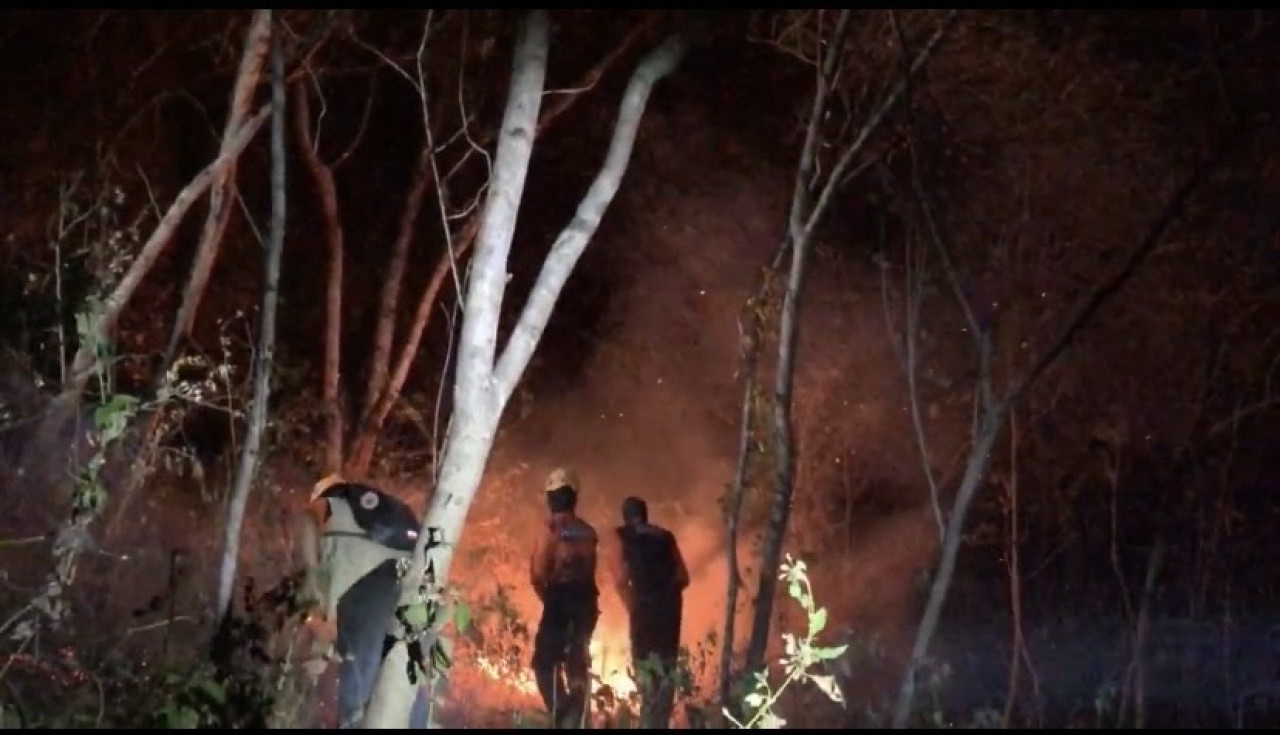 kebakaran hutan di Ponorogo. (Foto: Ahmad Fauzani/jatimnow.com)