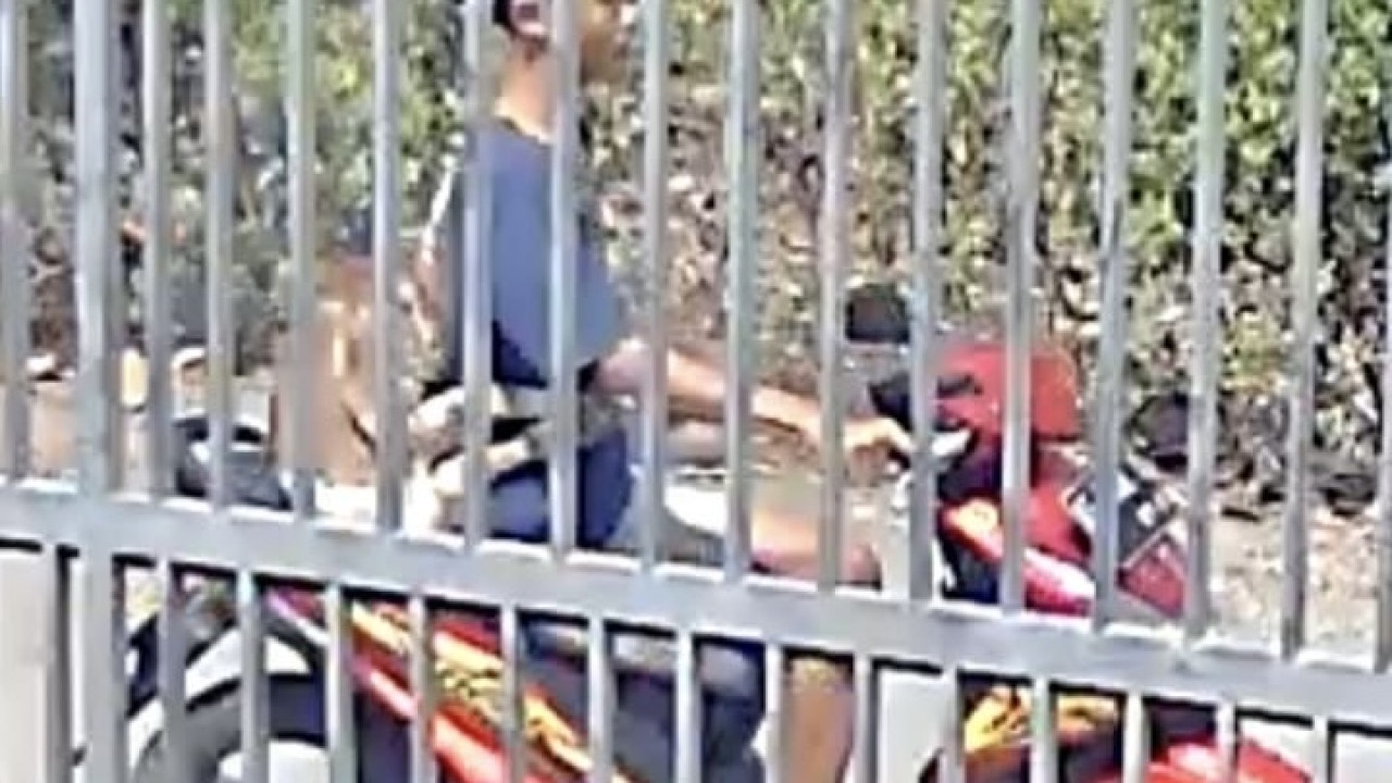 Aksi bocah di Ponorogo mencuri anak kambing terekam CCTV (Ig Ponorogo update)