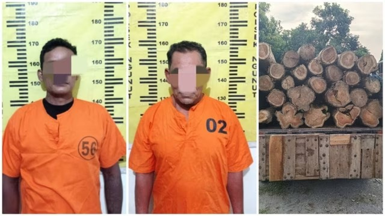 Tersangka pelaku pencurian kayu jati di Tulungagung. (Foto: Polres Tulungagung)