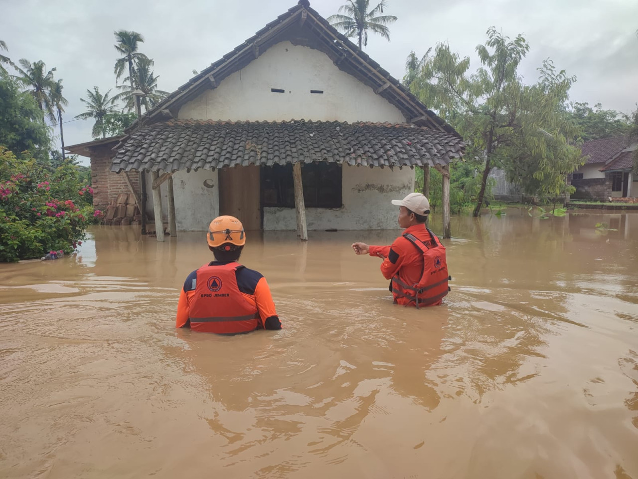 Ratusan rumah warga di Tempurejo Jember terendam banjir (Foto: BPBD for jatimnow.com)