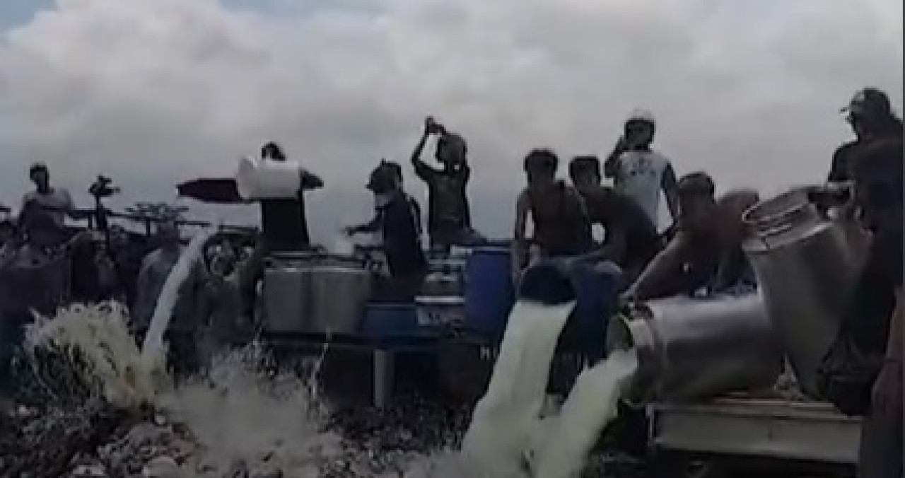 Aksi peternak sapi perah di Boyolali membuang susu. (Foto: tangkapan layar TikTok)