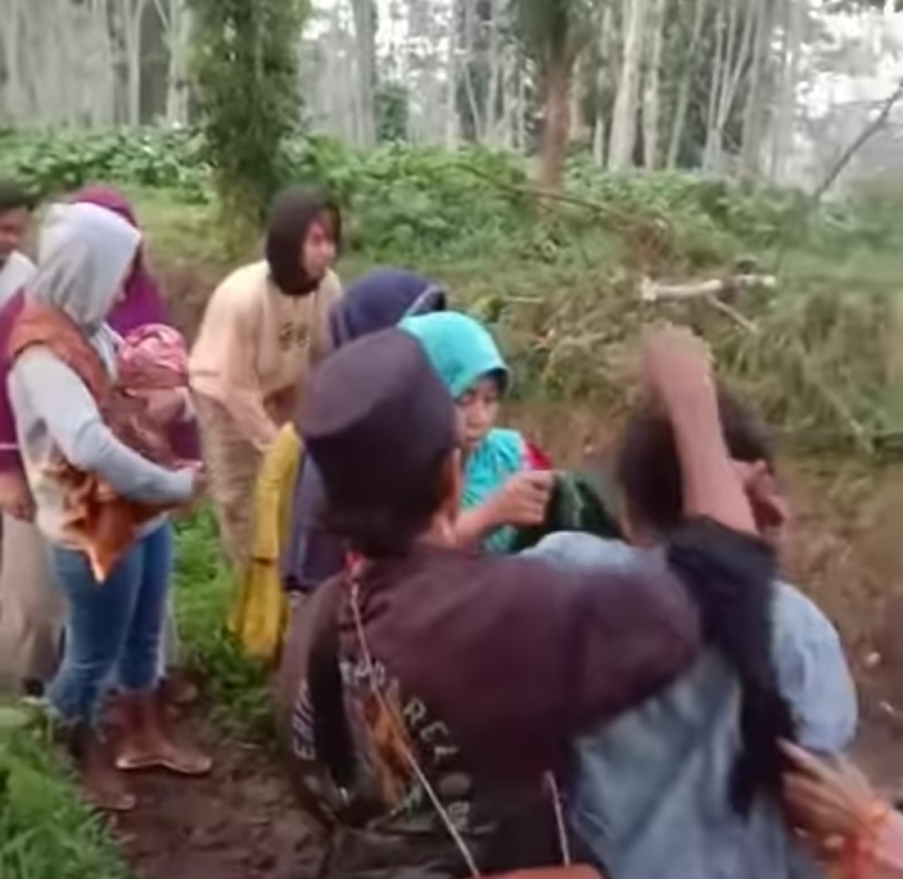 Ibu yang melahirkan di area perkebunan. (Foto: tangkapan layar)