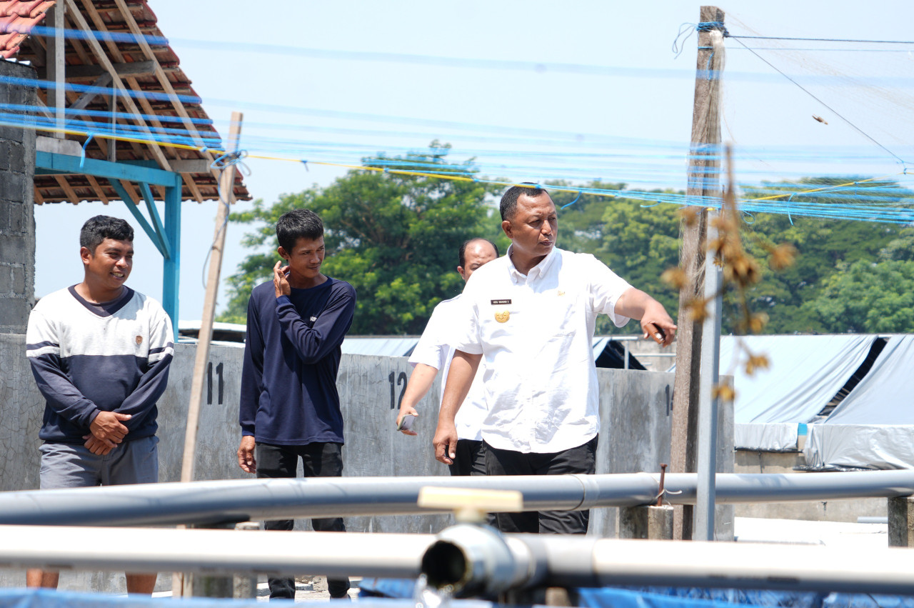 Pjs Bupati Kediri Heru saat meninjau produsen lele di Kediri. (Foto: Pemkab Kediri/jatimnow.com)