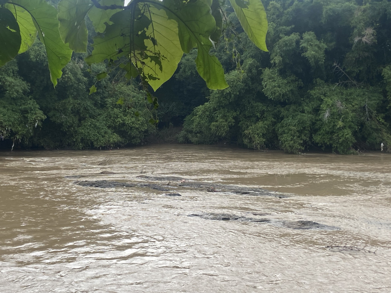 Mayat wanita di sungai. (Foto: Ahmad Fauzani/jatimnow.com)