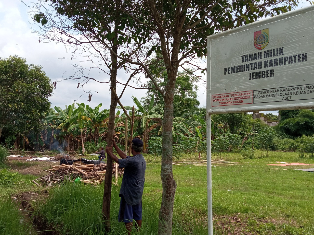 Warga Jember Bakar Gubuk di Lahan Pemkab, Kerap jadi Lokasi Transaksi Okerbaya