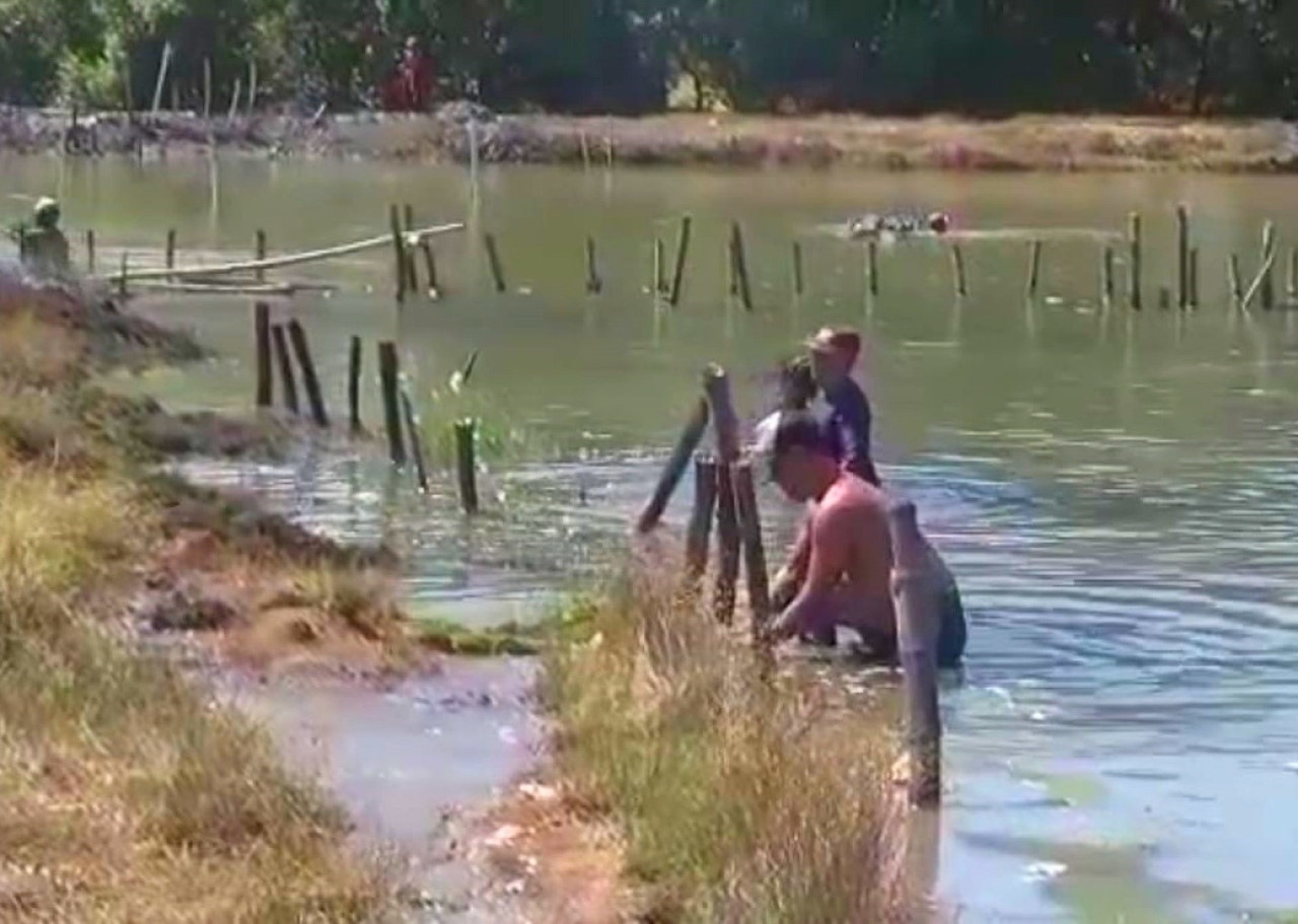 Para petambak Kecamatan Sedati Sidoarjo sedang meninggikan tanggul. (Foto: Ahaddiini HM/jatimnow.com).