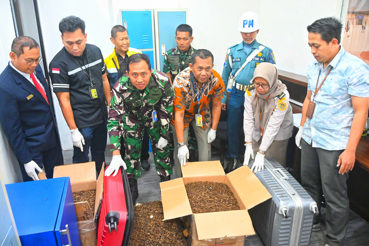 Penyelundupan Kalajengking Kering ke Hongkong Digagalkan di Bandara Juanda