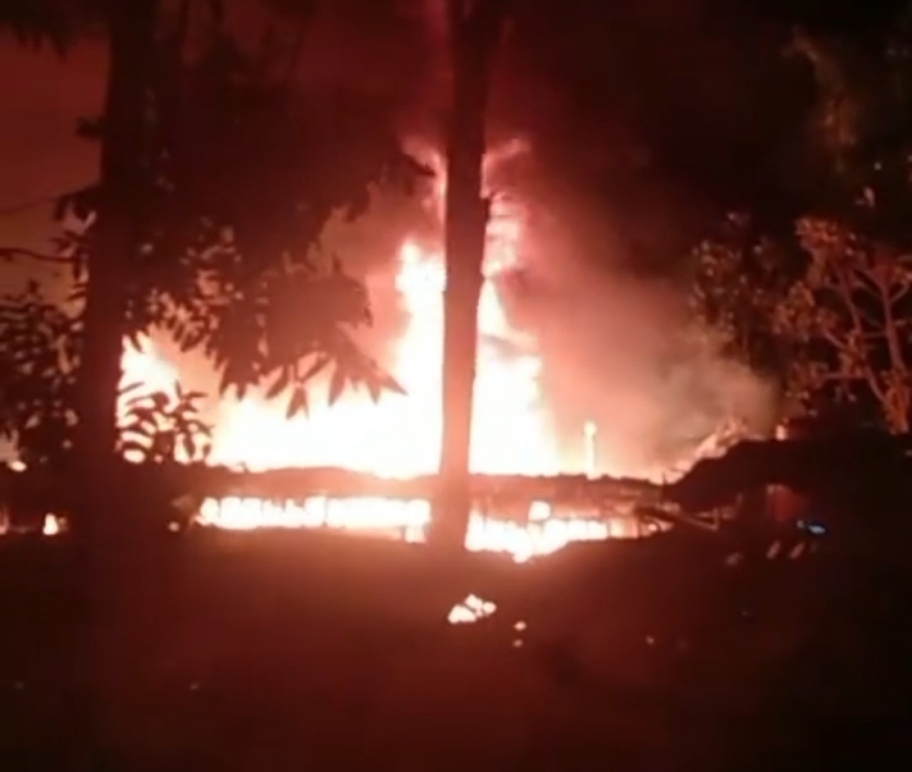 Kandang ayam di Sampang terbakar. (Foto: Fathor rahman/jatimnow.com)