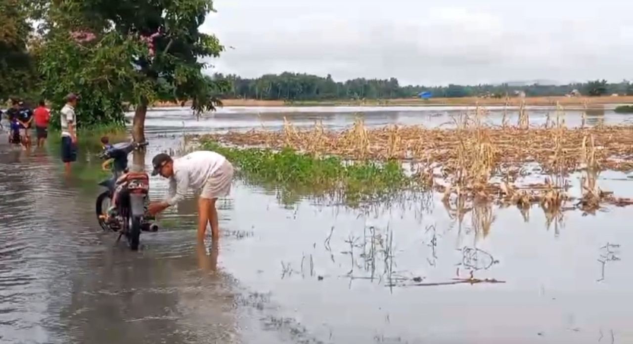 Lahan pertanian di Ambulu Jember terendam banjir (Foto: Hafid for jatimnow.com)