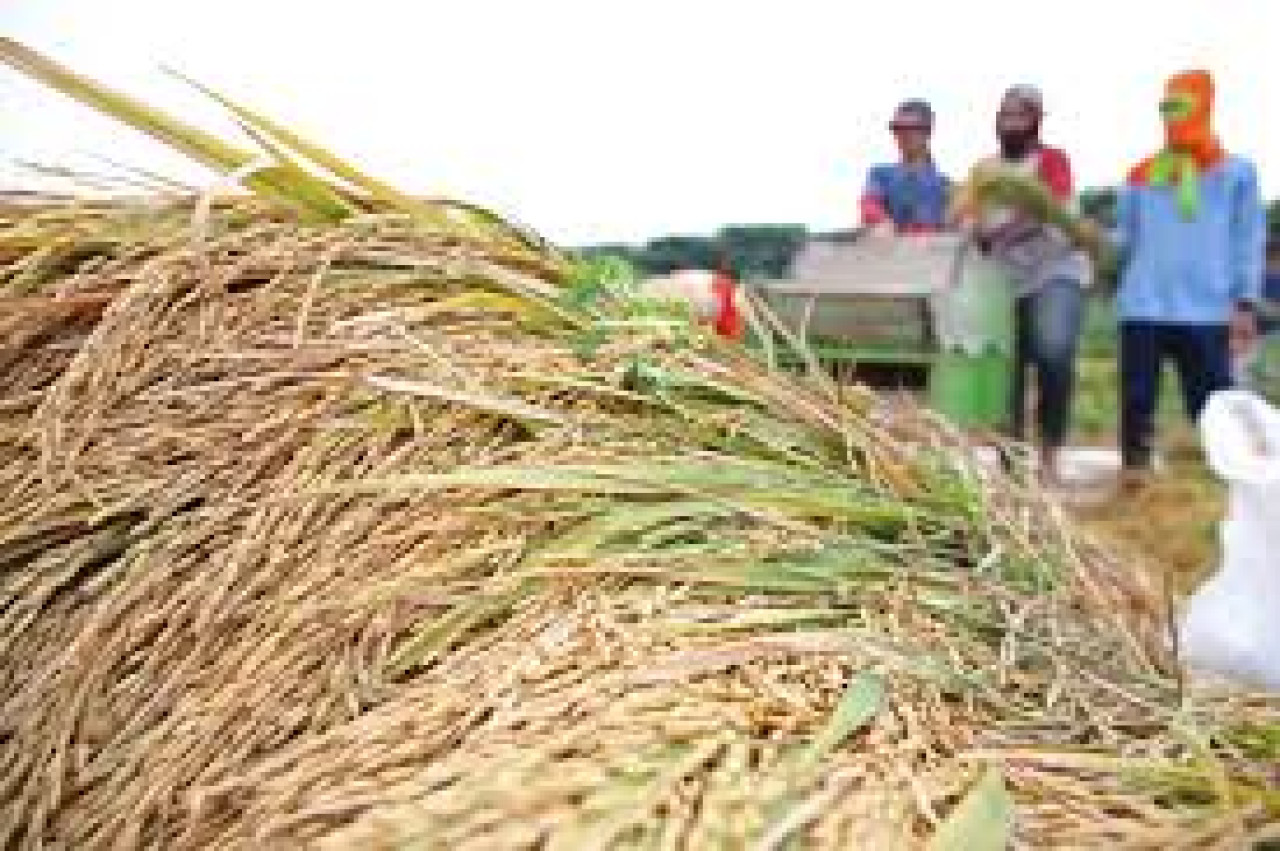 Ilustrasi. (dok jatimnow.com)