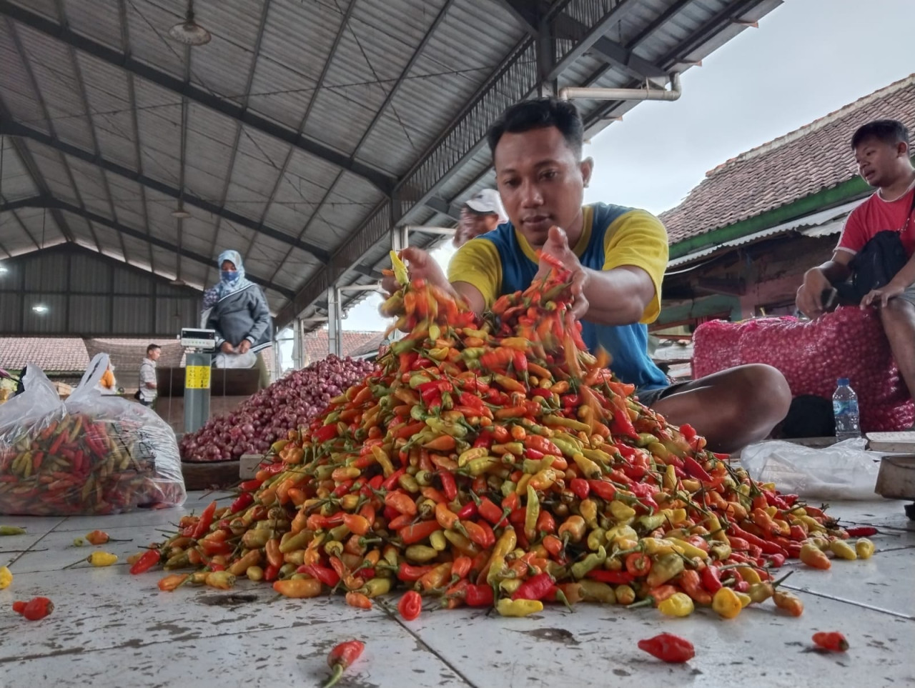 Pasokan Berkurang, Harga Cabai di Tulungagung Meroket