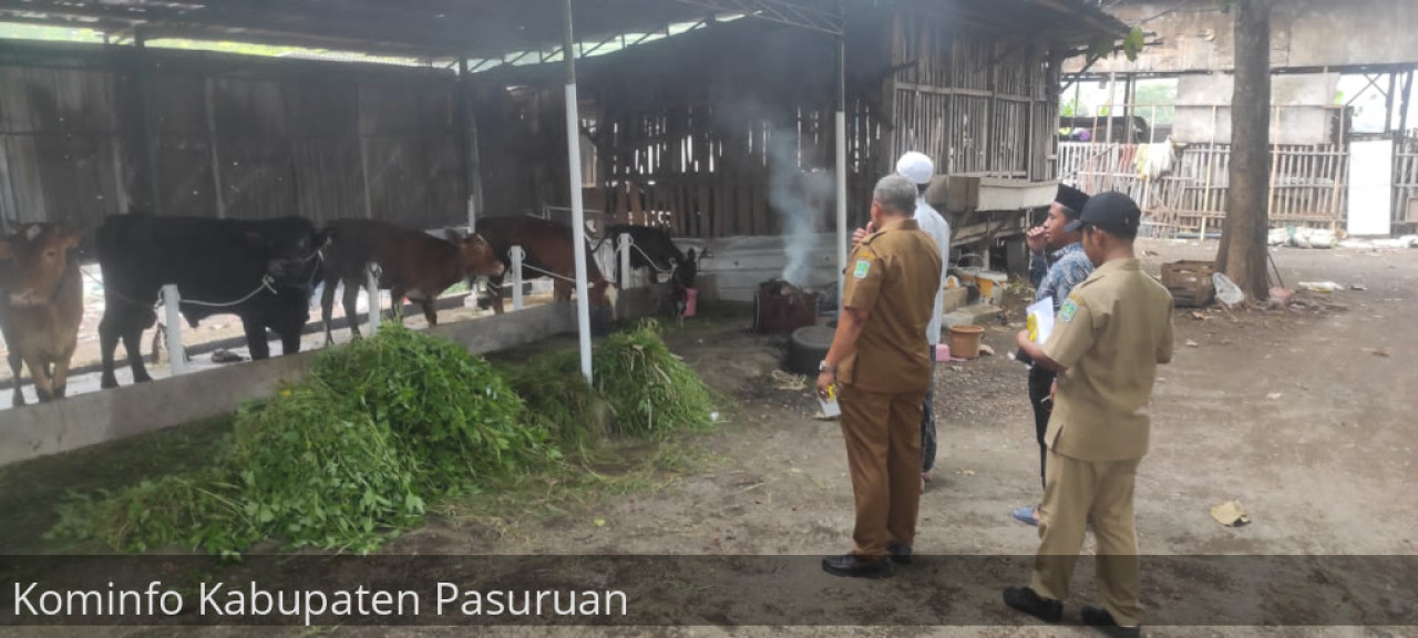 Peternakan sapi di Pasuruan. (Foto: Humas Pemkab Pasuruan for jatimnow.com)