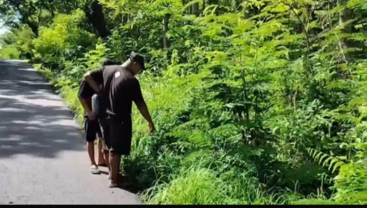 Lokasi penemuan potongan kaki di Ponorogo. (Foto: Ahmad Fauzani/jatimnow.com)