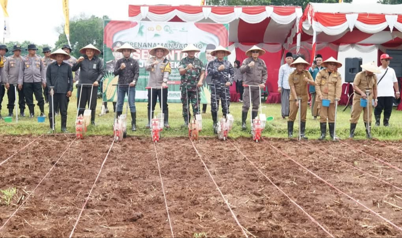 Tanam Jagung 1 Juta Hektare, Pemkab Bangkalan Dukung Swasembada Pangan