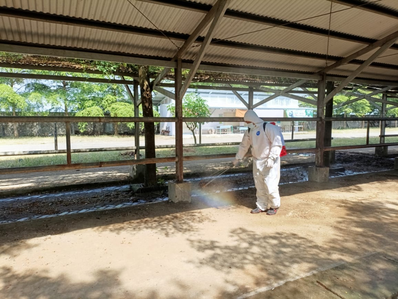 Tekan Lonjakan PMK, Petugas Semprot Disinfektan di Pasar Hewan Tulungagung