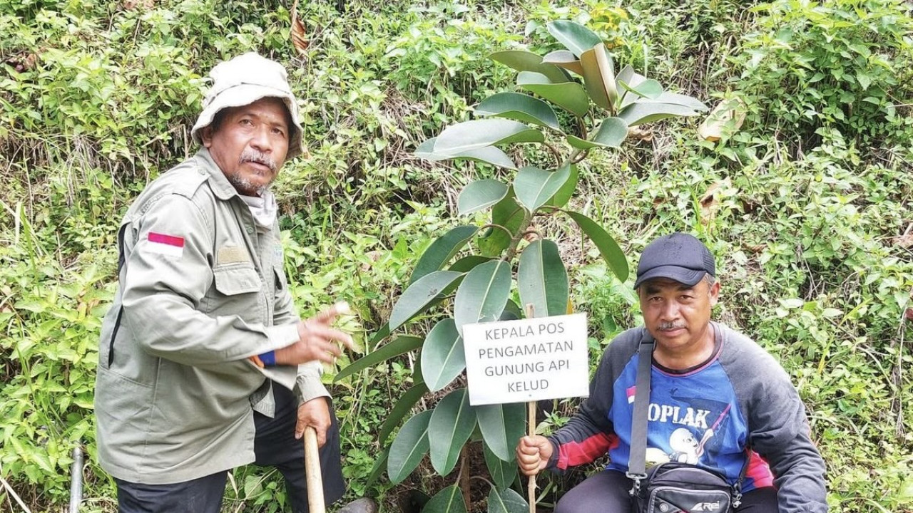 Penanaman Ficus di Villa Lembah Kelud Kediri. (Foto: Masyarakat Ficus Indonesia/jatimnow.com)