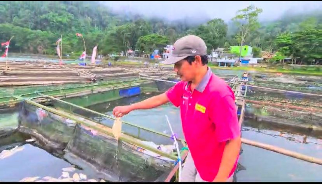 Misteri Ribuan Ikan Nila Mati di Ngebel Ponorogo Terungkap, Ini Penyebabnya