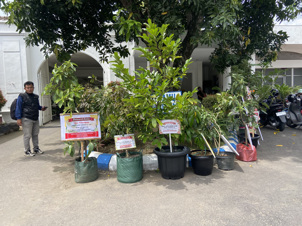 Puluhan bibit pohon memenuhi halaman rumah dinas Bupati Ponorogo terpilih. (Foto: Ahmad Fauzani/jatimnow.com)
