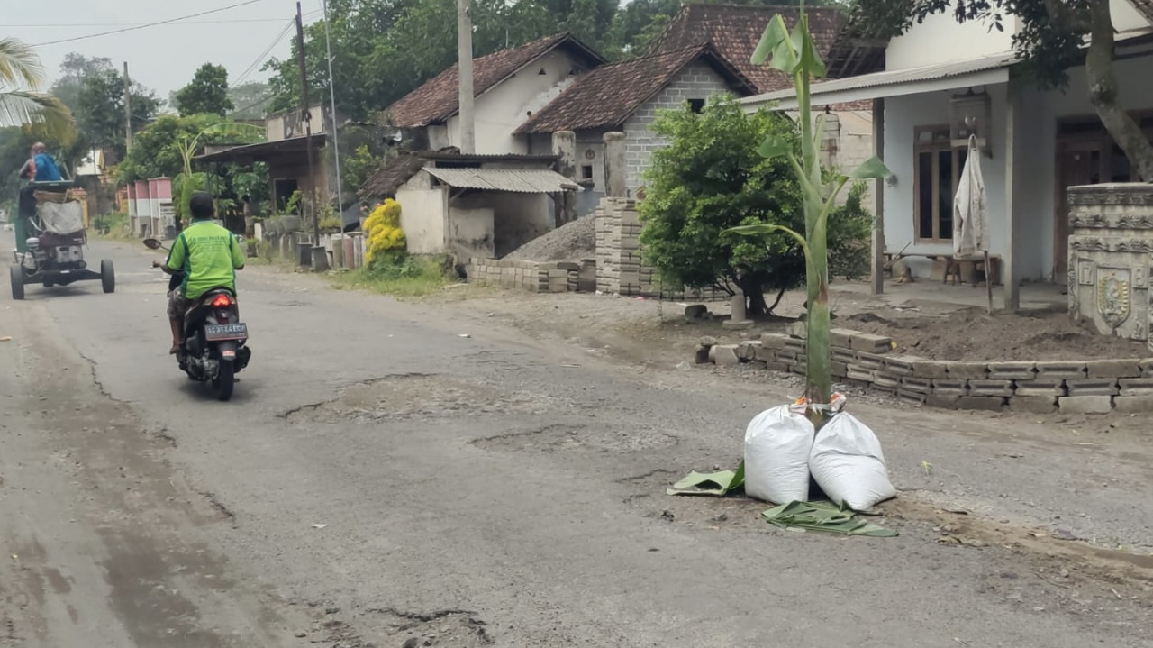 Warga Kediri Tanam Pohon Pisang di Jalan Rusak karena Tak Kunjung Diperbaiki