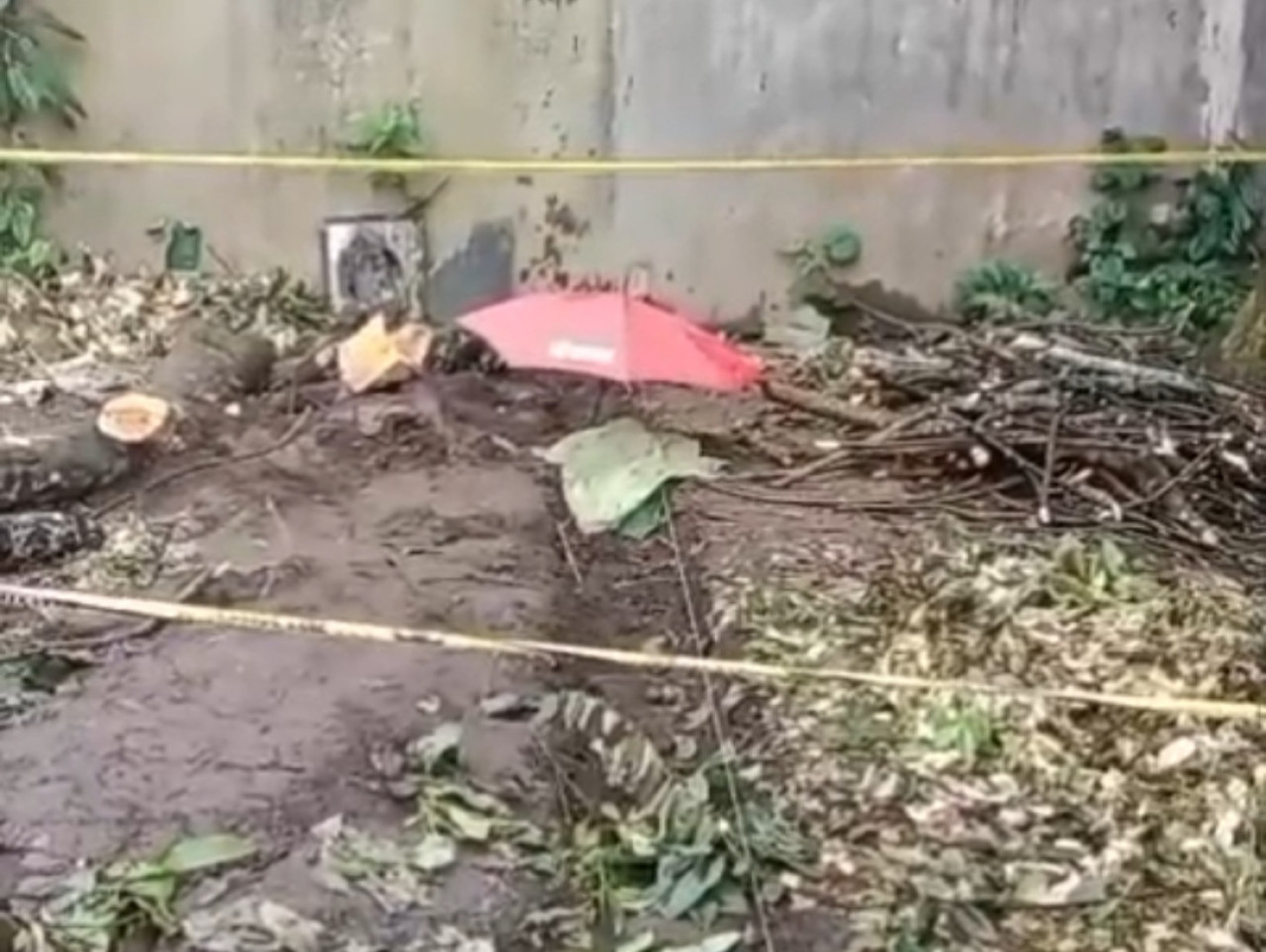 Gali Pondasi Gudang, Tukang Bangunan di Jember Temukan Jasad Bayi