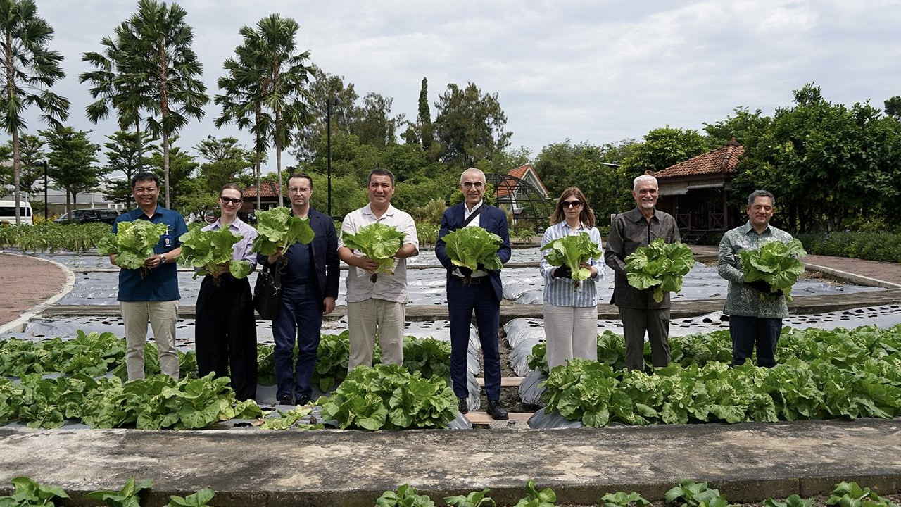DKU PG, Robby Setiabudi Madjid (kiri), bersama Dubes Eurasian Economic Union (EAEU), usai memanen sayur di Area Riset Petrokimia Gresik. (Foto: Petrokimia Gresik for jatimnow.com).