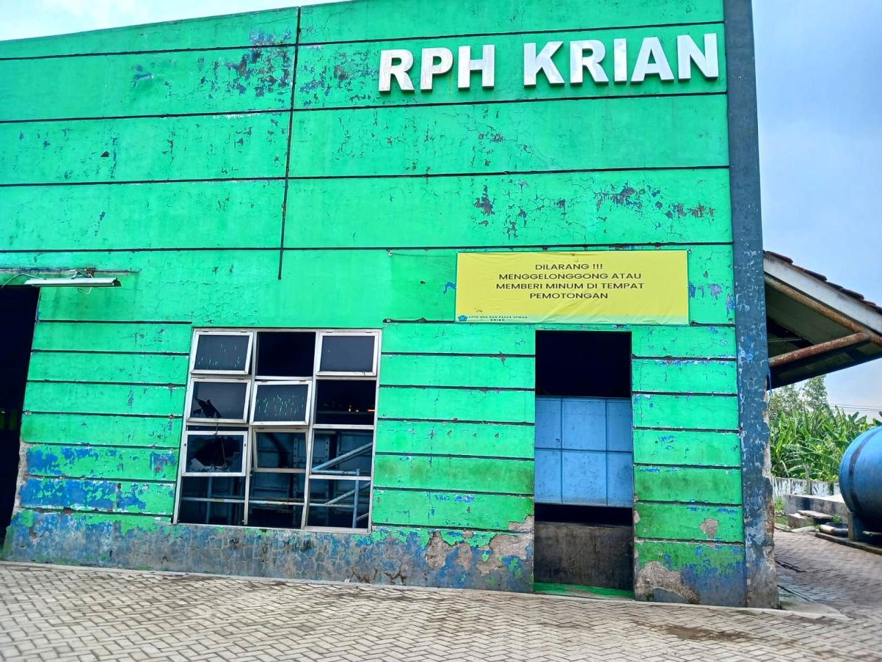 88 Persen Daging di Pasar Sidoarjo dari Sapi Gelonggongan, Ini Tanda-tandanya