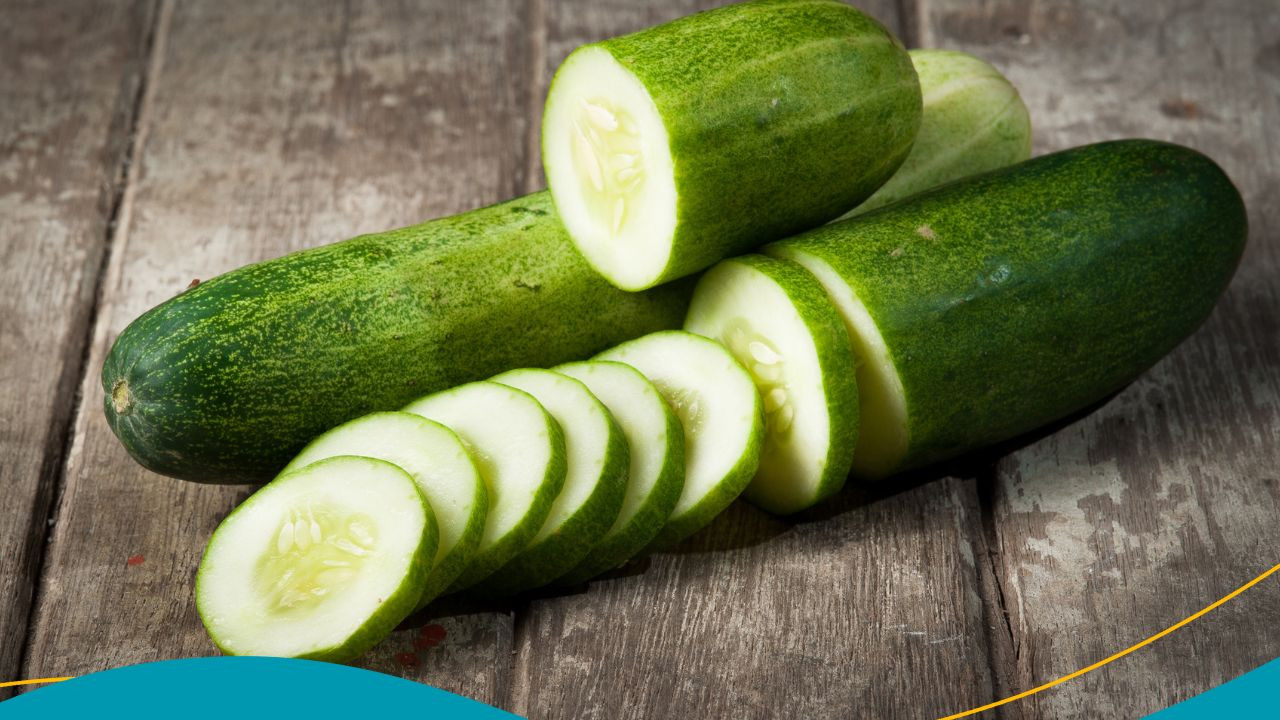 Timun . (Foto: Biofarma.co.id for jatimnow.com)