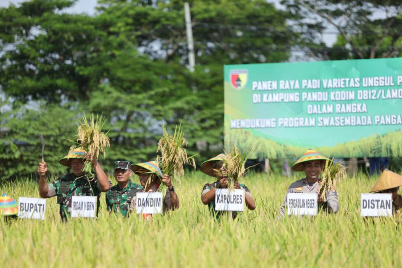 Panen perdana padi varietas oleh Kodim 0812 Lamongan. (Foto : Adyad Ammy Iffansah/jatimnow.com)