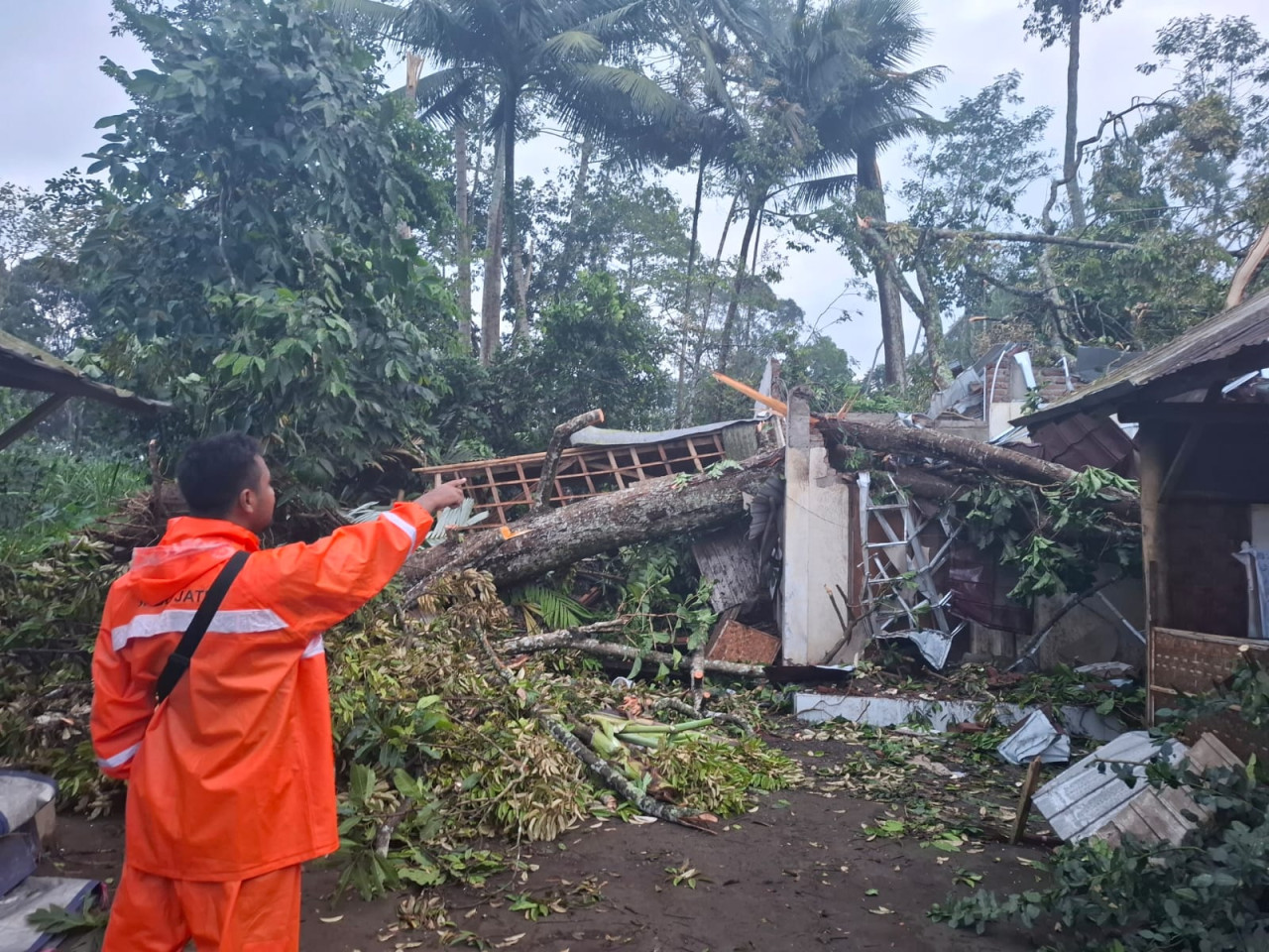 Pohon tumbang menimpa rumah akibat puting beliung. (Foto: tangkapan layar media sosial)