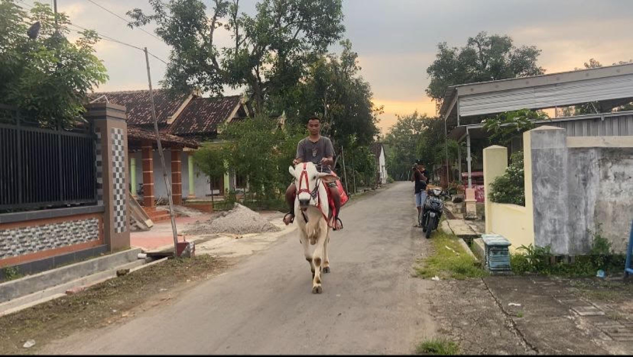Ngabuburit Unik, Pemuda di Ponorogo Tunggangi Sapi untuk Beli Takjil