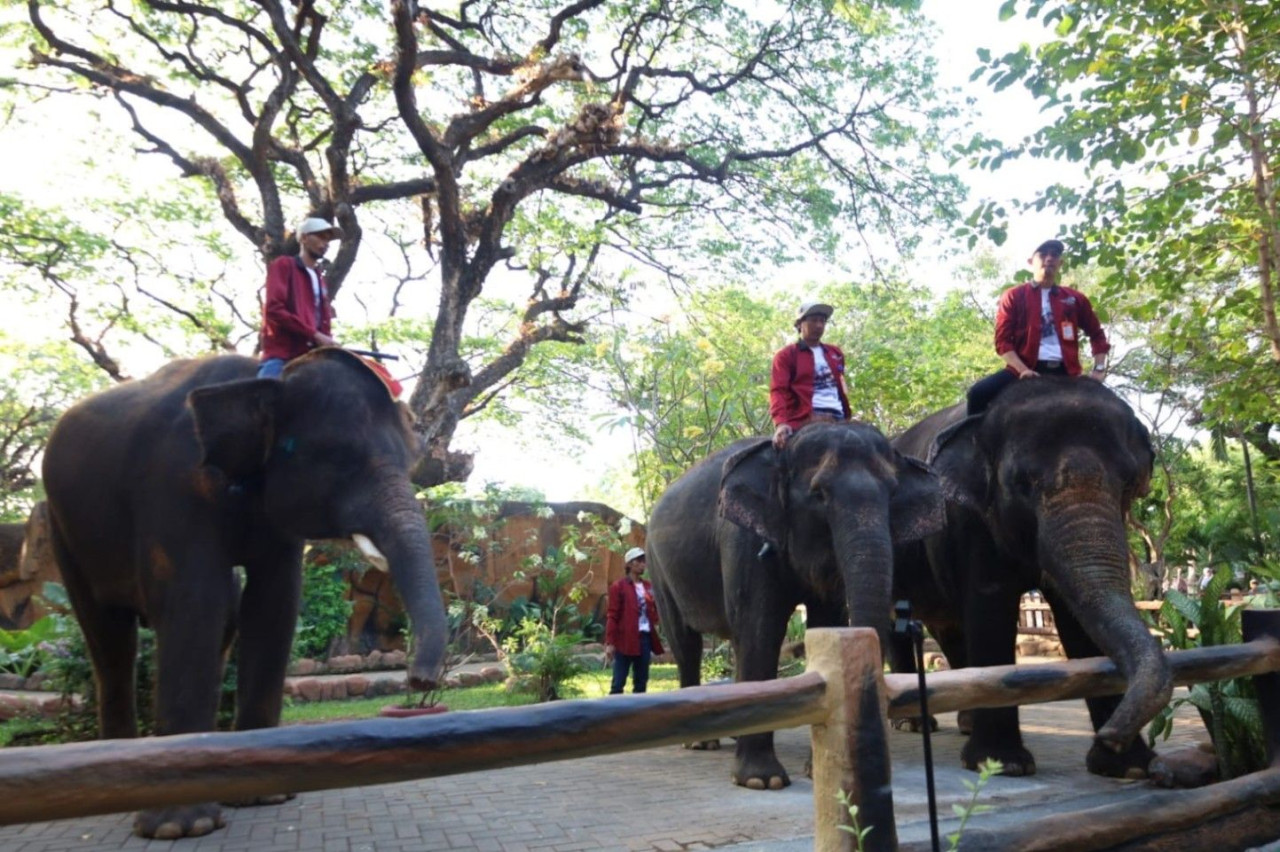 Suasana Kebun Binatang Surabaya (KBS). (Foto: Humas Pemkot Surabaya)