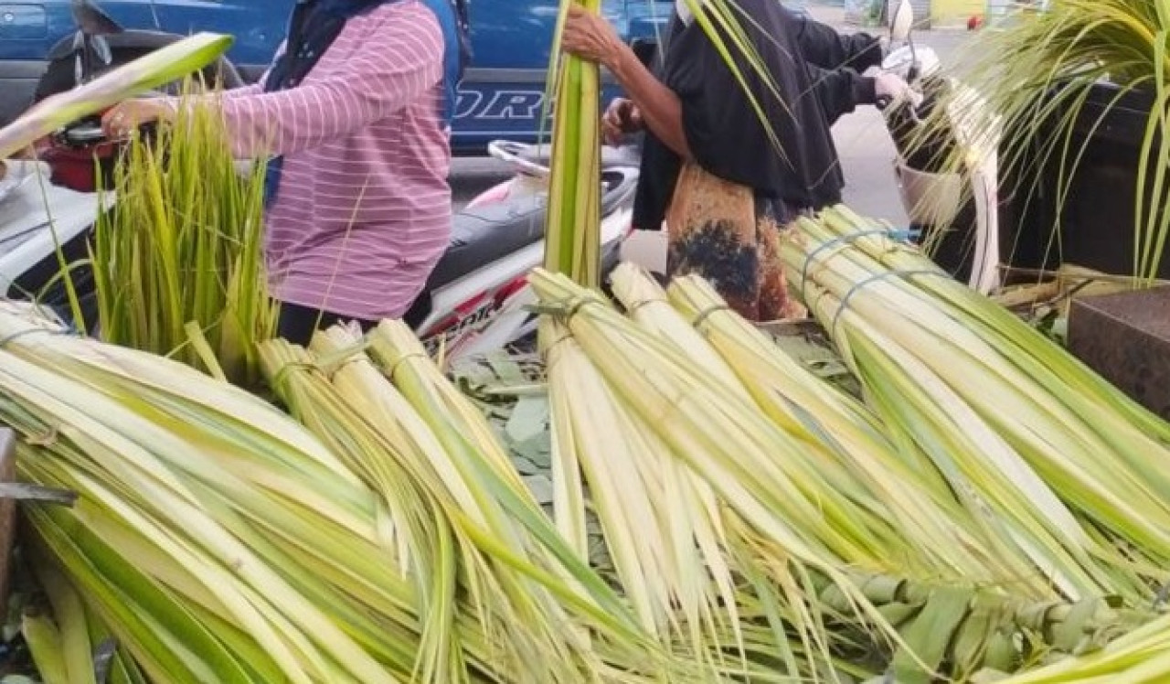 Ilustrasi. Janur bahan pembuat ketupat. (Foto: dok. jatimnow.com)