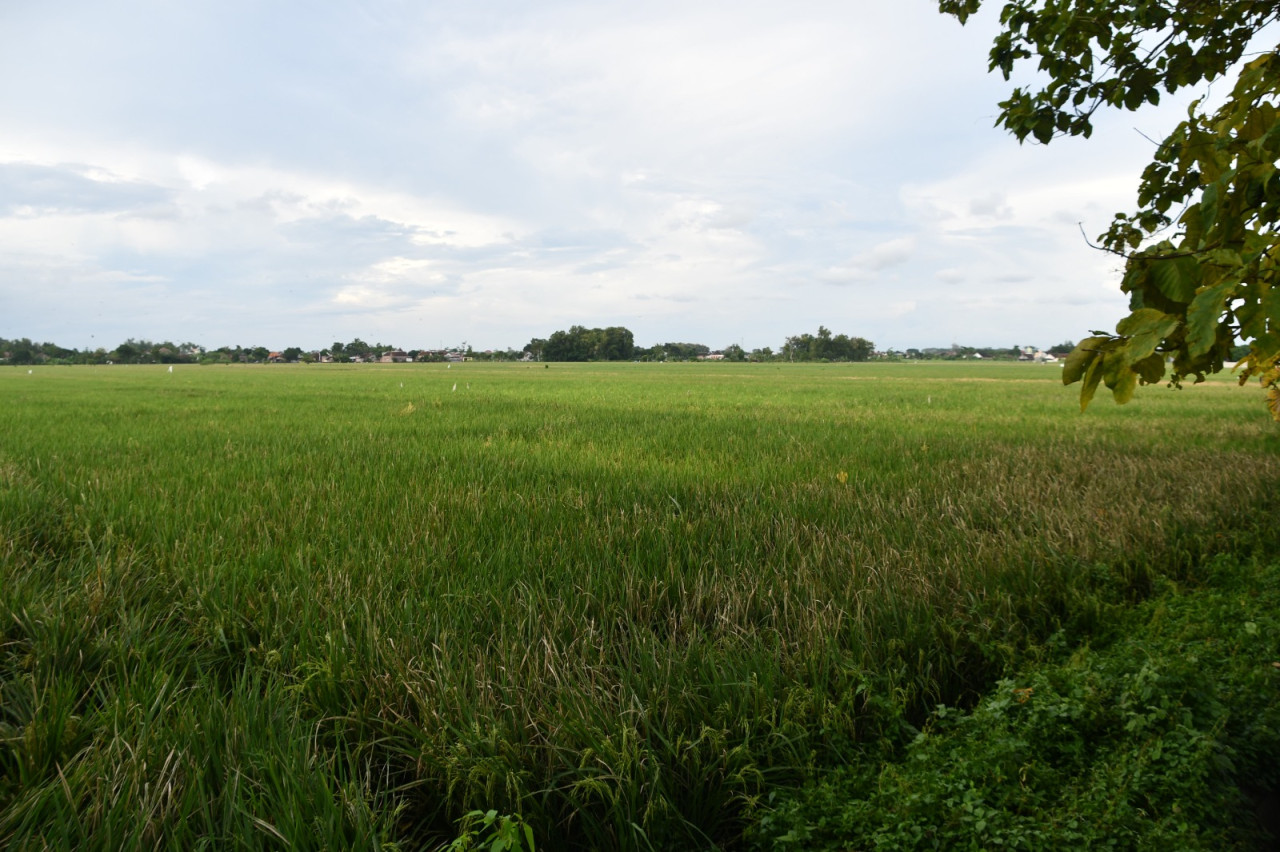 Lahan yang disiapkan untuk Sekolah Rakyat. (Foto-foto: Dok Prokopim Tulungagung)