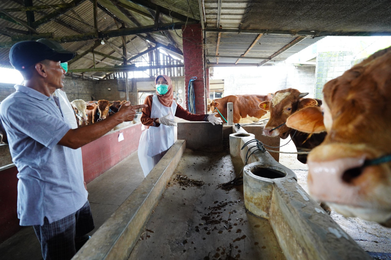 Monitori hewan ternak di Kabupaten Kediri. (Foto: Pemkab Kediri/jatimnow.com)