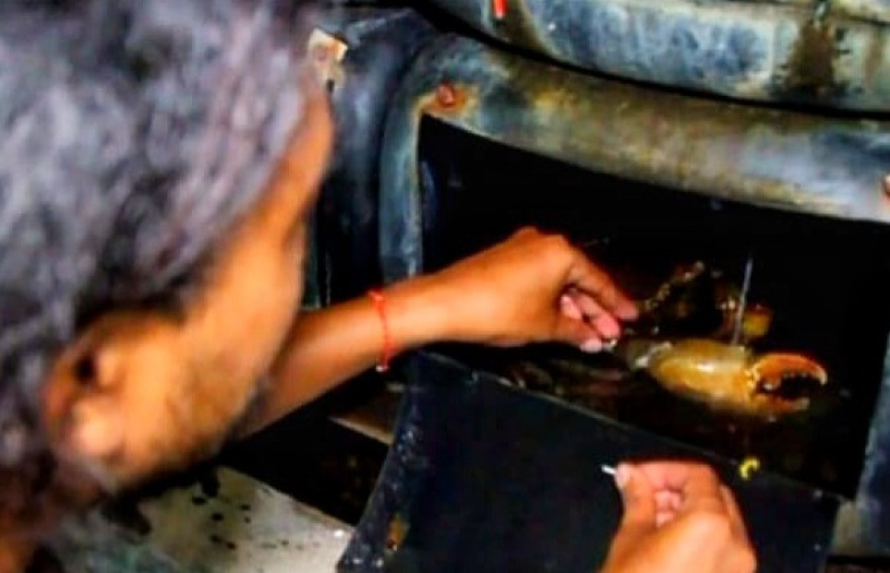 Samsul Arifin asal Desa Kedungpeluk, Kecamatan Candi, Sidoarjo sukses mengembangkan budidaya kepiting jumbo. (Foto: Ahaddiini HM/jatimnow.com)