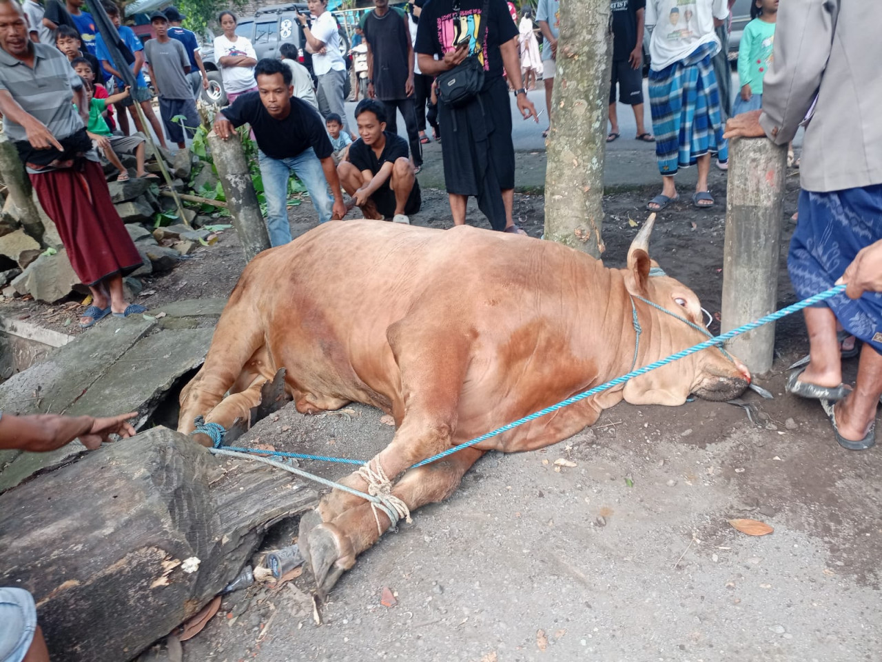 Foto: Yuris for jatimnow.com