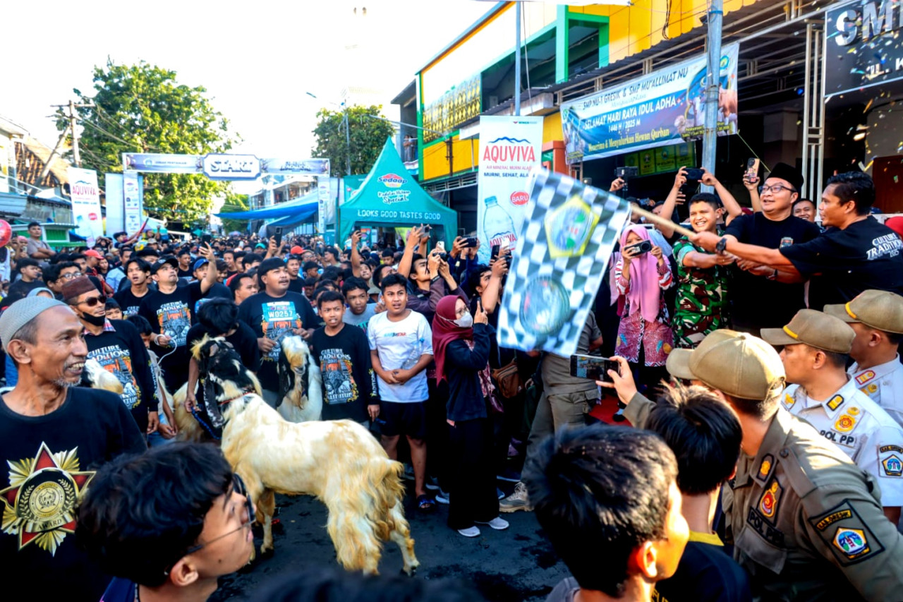 Lomba arak-arakan kambing di Kalitutup Gresik. (Foto: Diskominfo Gresik/jatimnow.com)