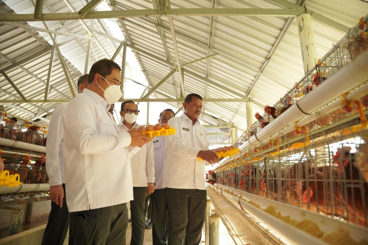 Menteri Imigrasi dan Pemasyarakatan Tinjau Sarana Asimilasi Edukasi L'Sima Ngajum