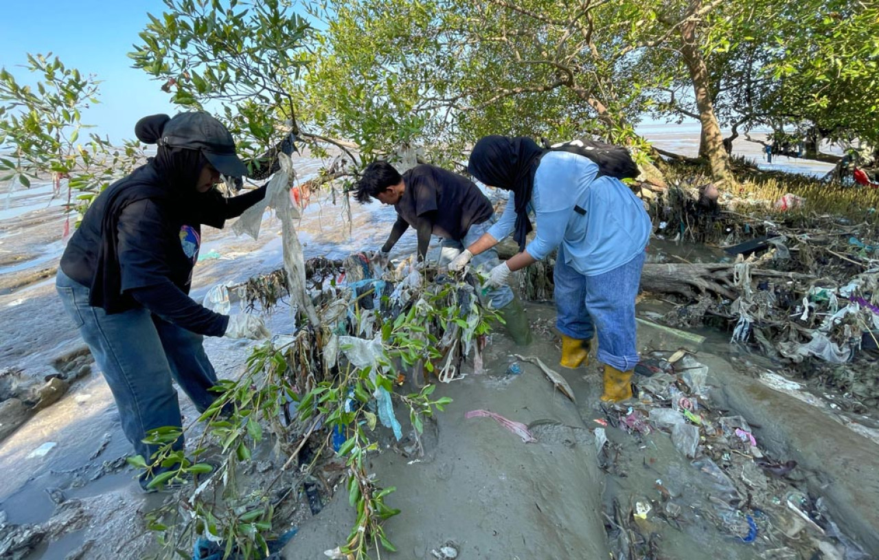 Ecoton Foundation bersama komunitas Marapaima menemukan ratusan kilogram sampah plastik yang menjerat akar dan batang pohon mangrove di kawasan pesisir Wonorejo, Surabaya, pada Sabtu (26/7/2025). Foto: Ecoton for JatimNow.com