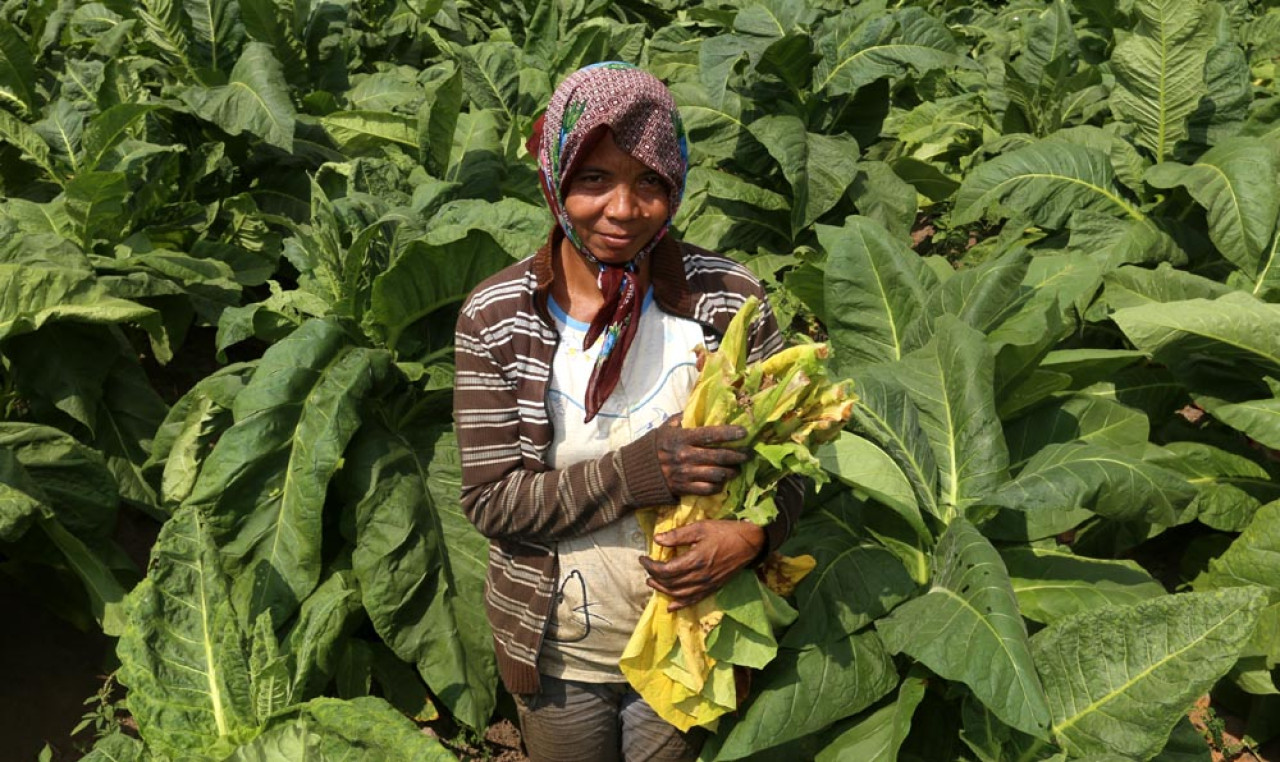 Menelisik Tradisi Merantau dan Semangat Kerja Masyarakat Madura